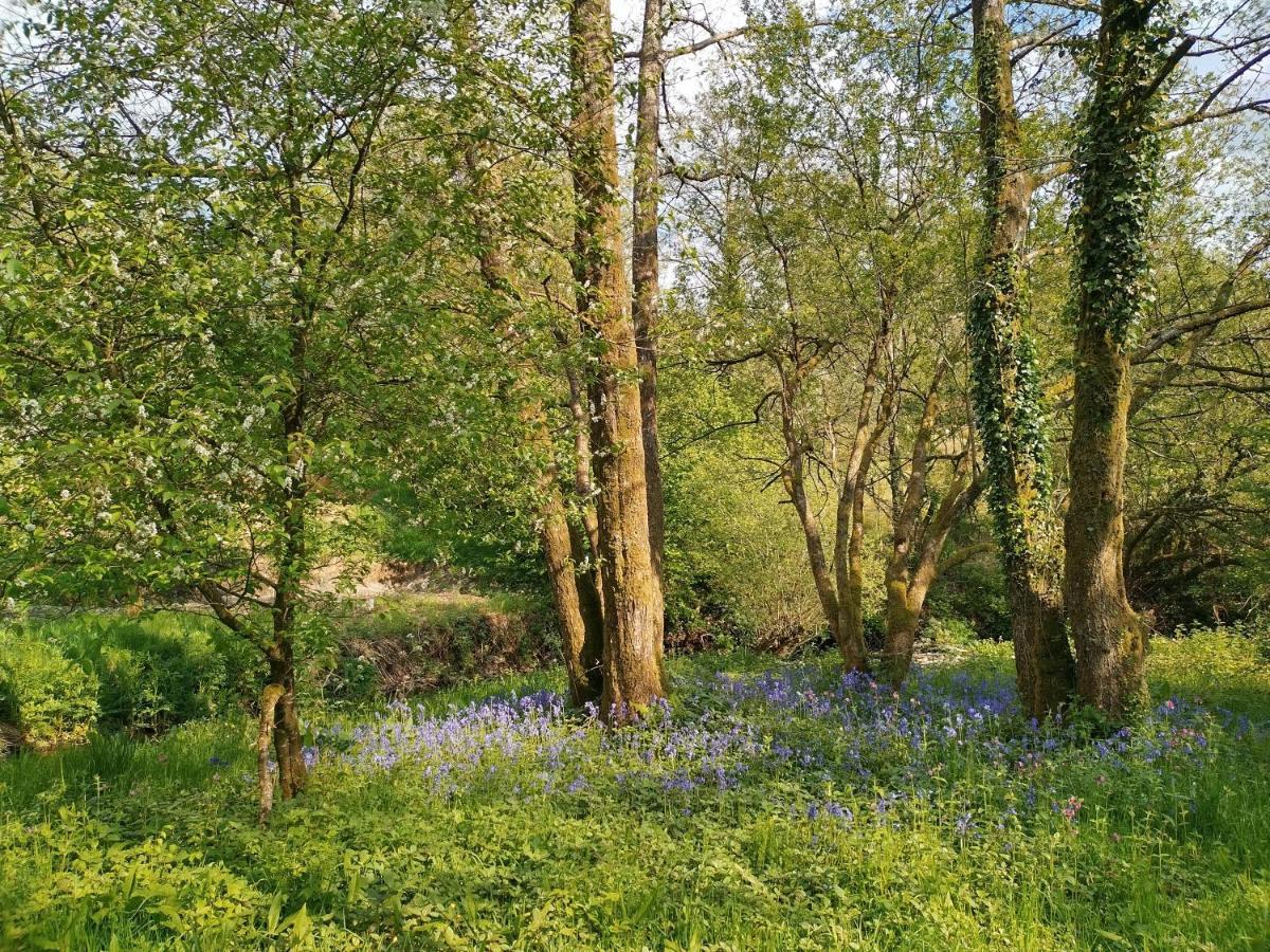 Oak Tree Farm