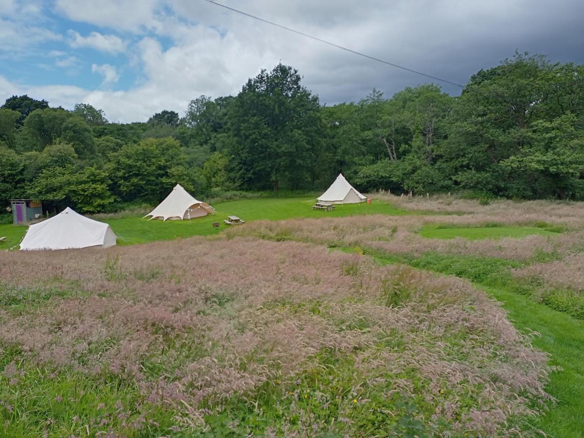 Oak Tree Farm Luxury tent