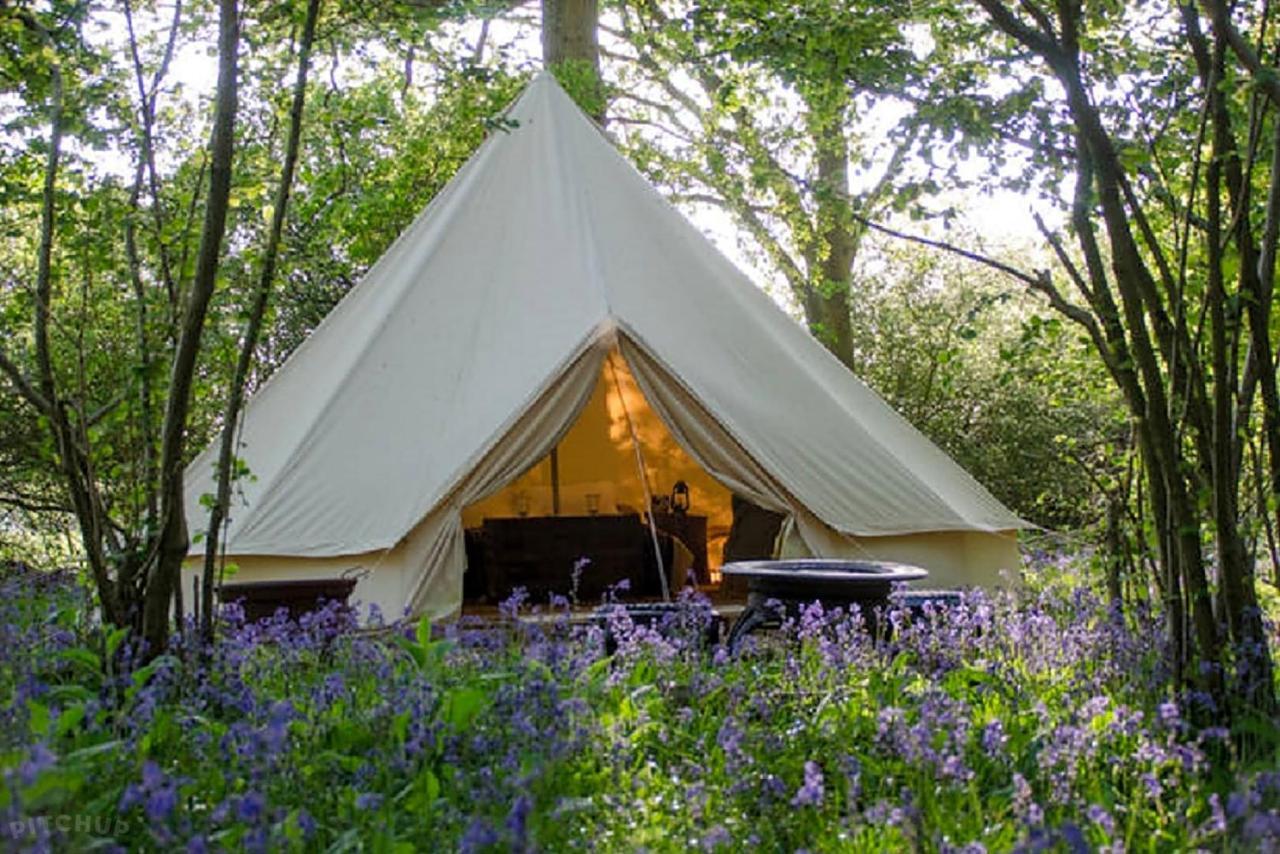 Oak Tree Farm Luxury tent