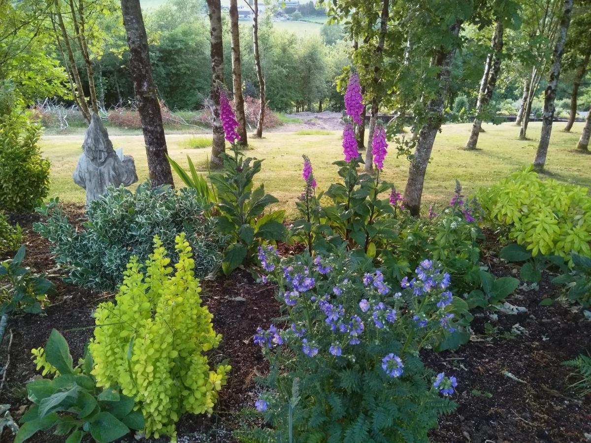 Oak Tree Farm Luxury tent Llanfynydd