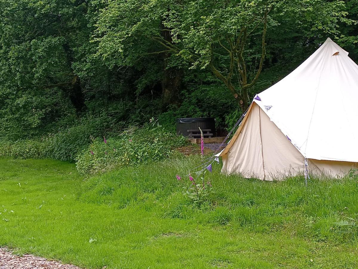 Luxury tent Oak Tree Farm